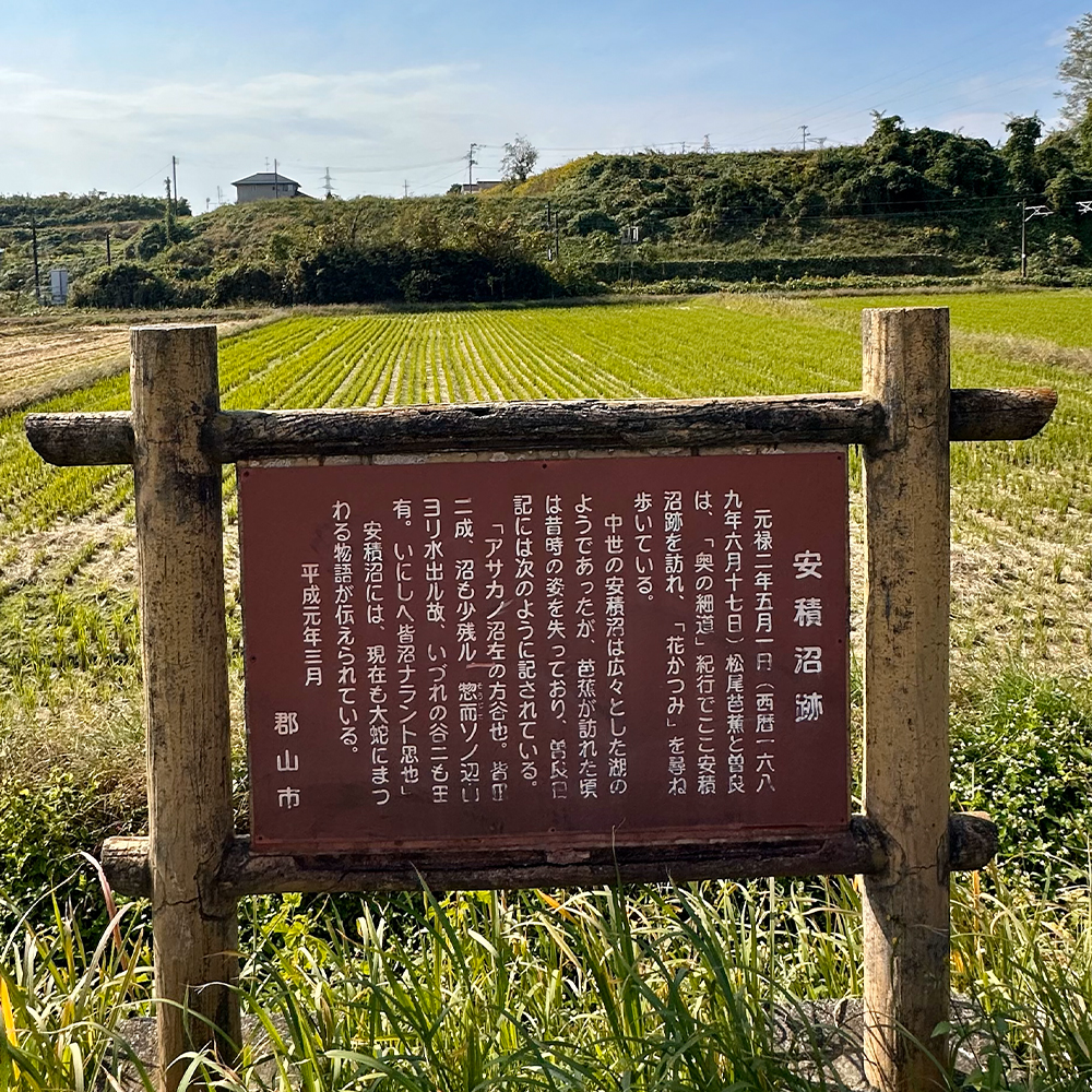 安積の沼跡地